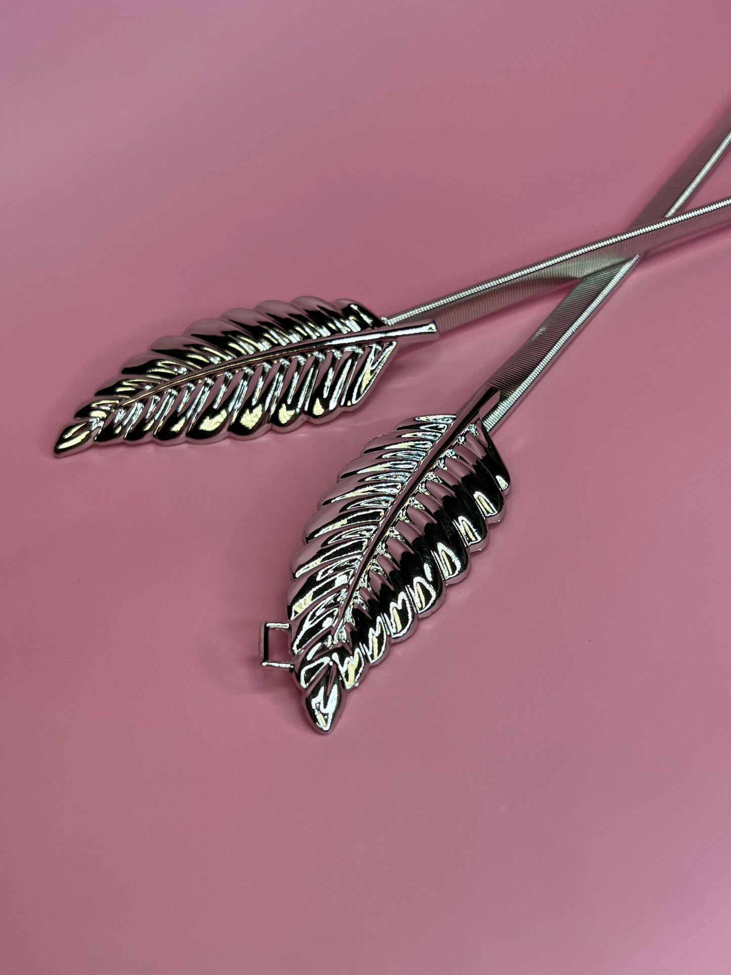 Silver spring Belt 30”