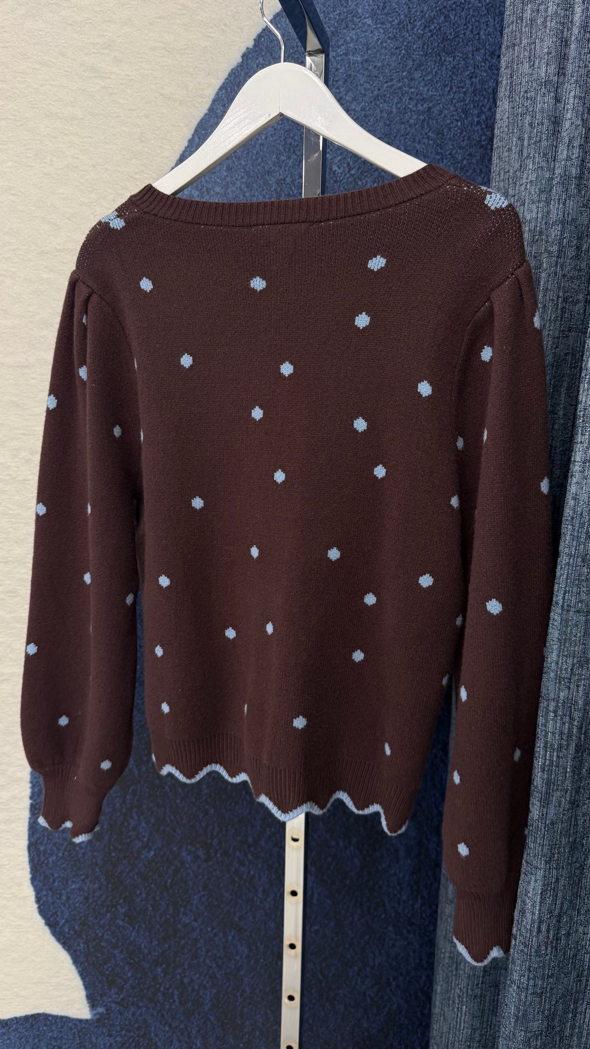 Long Sleeve Cardigan Blue / Brown